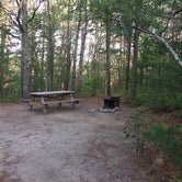 Review photo of Shawme Crowell State Forest by Kristen B., September 14, 2016