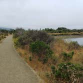 Review photo of Morro Bay State Park Campground by Laura M., August 3, 2024