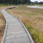 Review photo of Morro Bay State Park Campground by Laura M., August 3, 2024