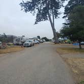 Review photo of Morro Bay State Park Campground by Laura M., August 3, 2024