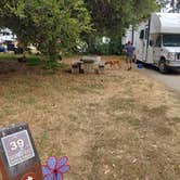 Review photo of Morro Bay State Park Campground by Laura M., August 3, 2024