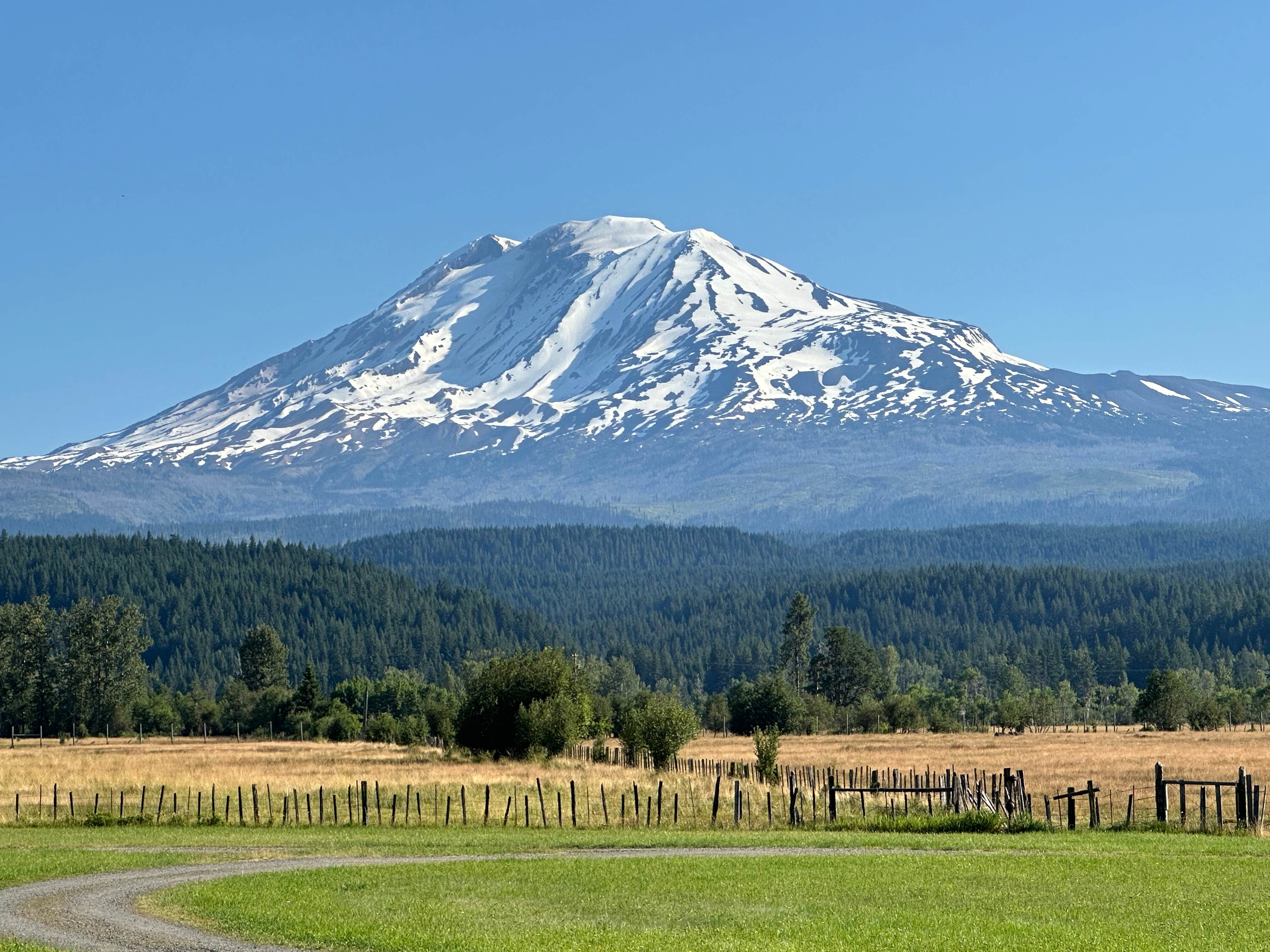 Camper-submitted photo at Hollenbeck Park near Gifford Pinchot National Forest
