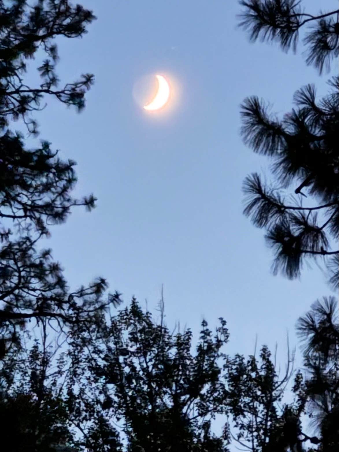 Camper-submitted photo at Hollenbeck Park near Gifford Pinchot National Forest