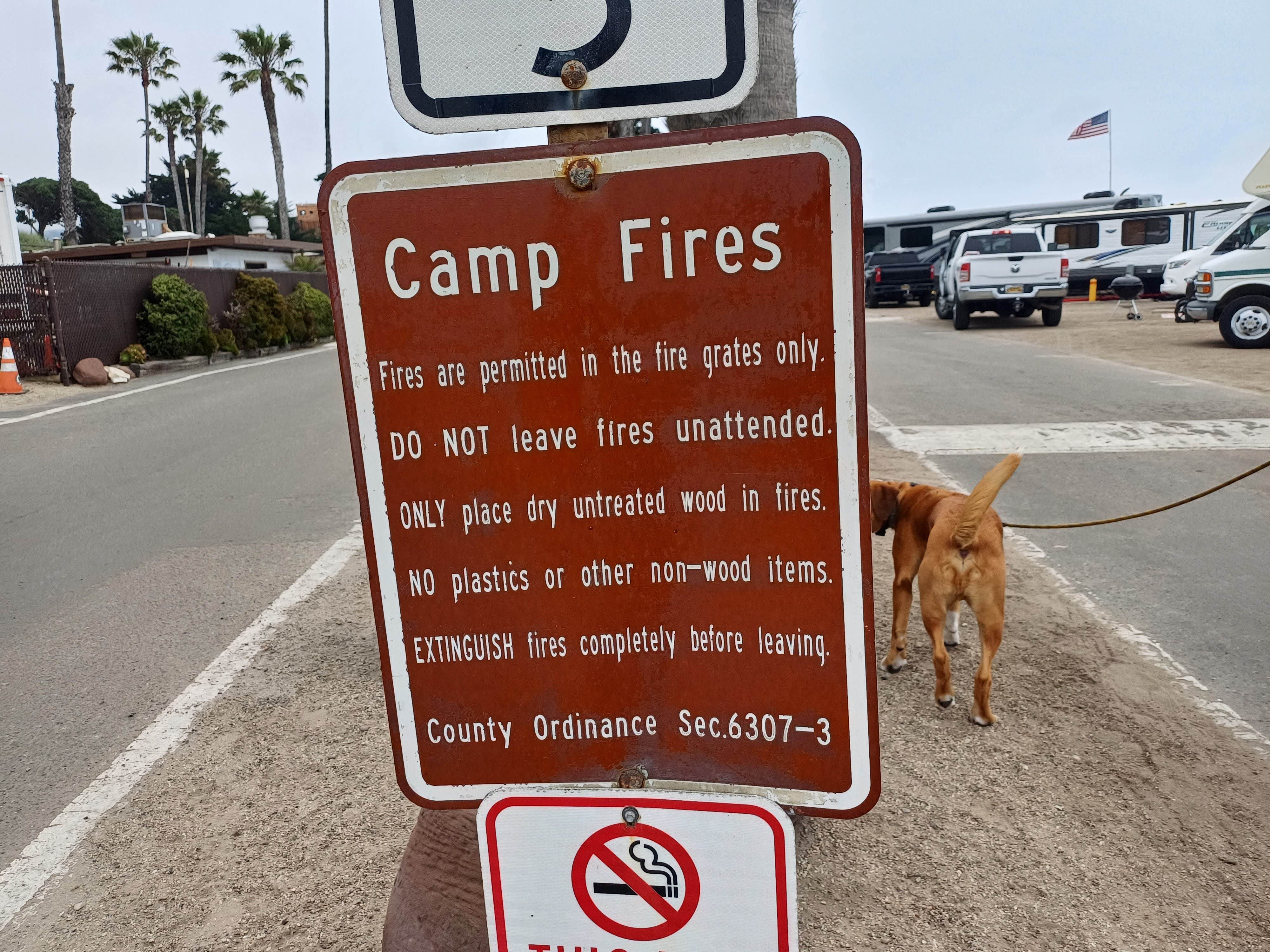 Laura M.'s photo of camping with pets at Faria Beach Park near Oxnard, CA