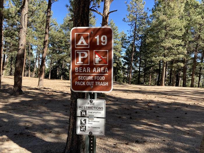 Camper submitted image from Rampart Range Recreation Area Designated Dispersed Camping — Psicc - 2
