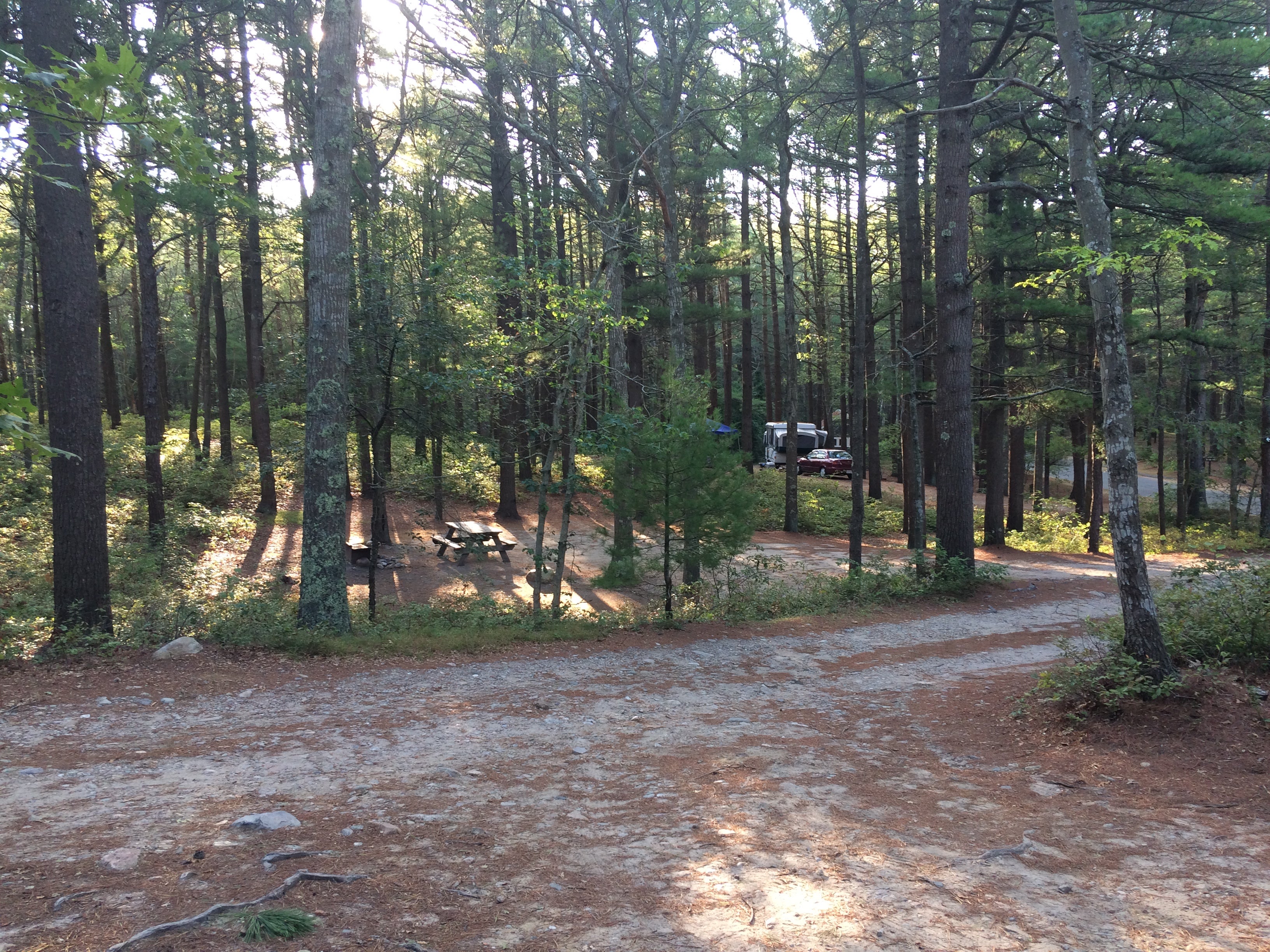 Camper submitted image from Shawme Crowell State Forest - 2