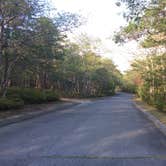 Review photo of Shawme Crowell State Forest by Kristen B., September 14, 2016