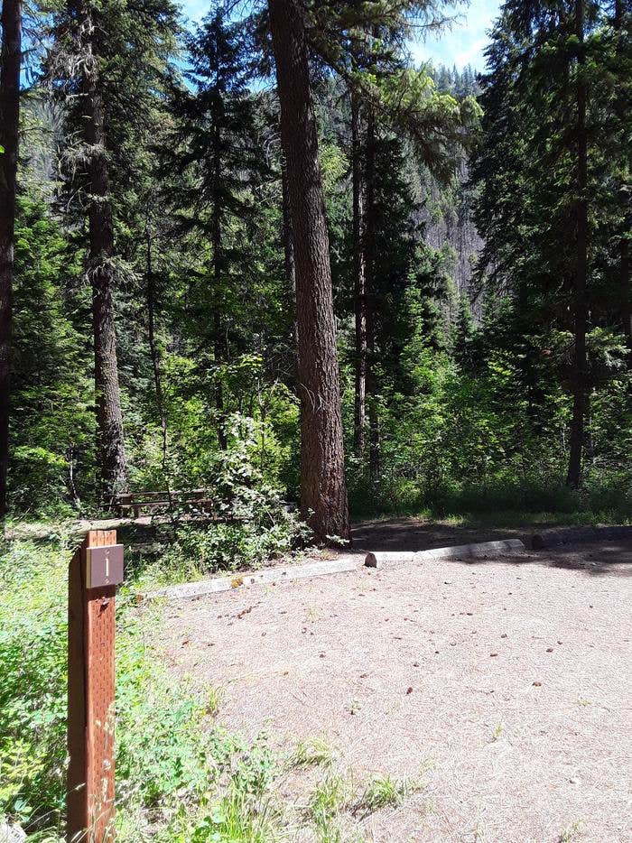 Camper submitted image from Trout Creek Campground (Mt) — Lolo National Forest - 2