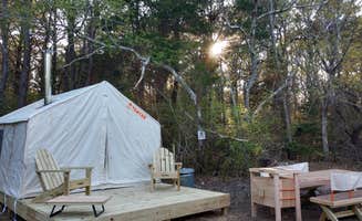 The Dyrt's photo at Spring Hill on Cape Cod Cranberry Farm near Sagamore Beach, MA