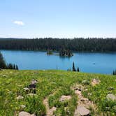 Review photo of Island Lake Campground by Adam O., August 4, 2024