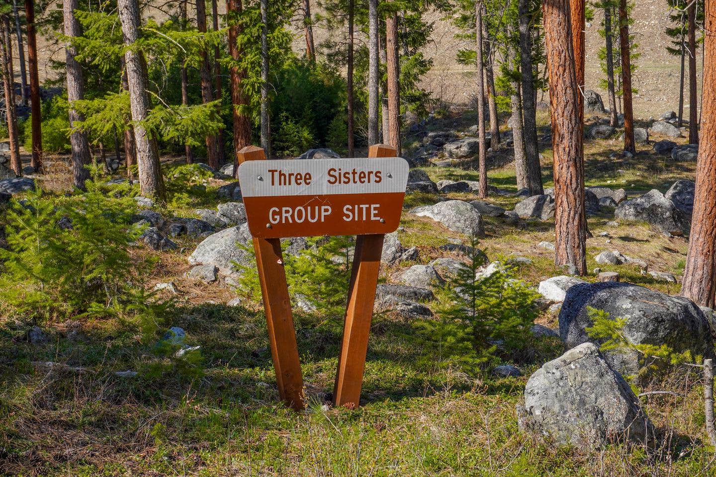 Camper submitted image from Three Sisters Group Site (Mt) — Bitterroot National Forest - 2