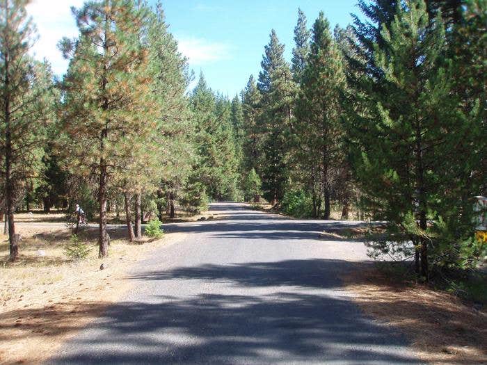 Camper submitted image from Kaner Flat Campground — Okanogan Wenatchee National Forest - 2