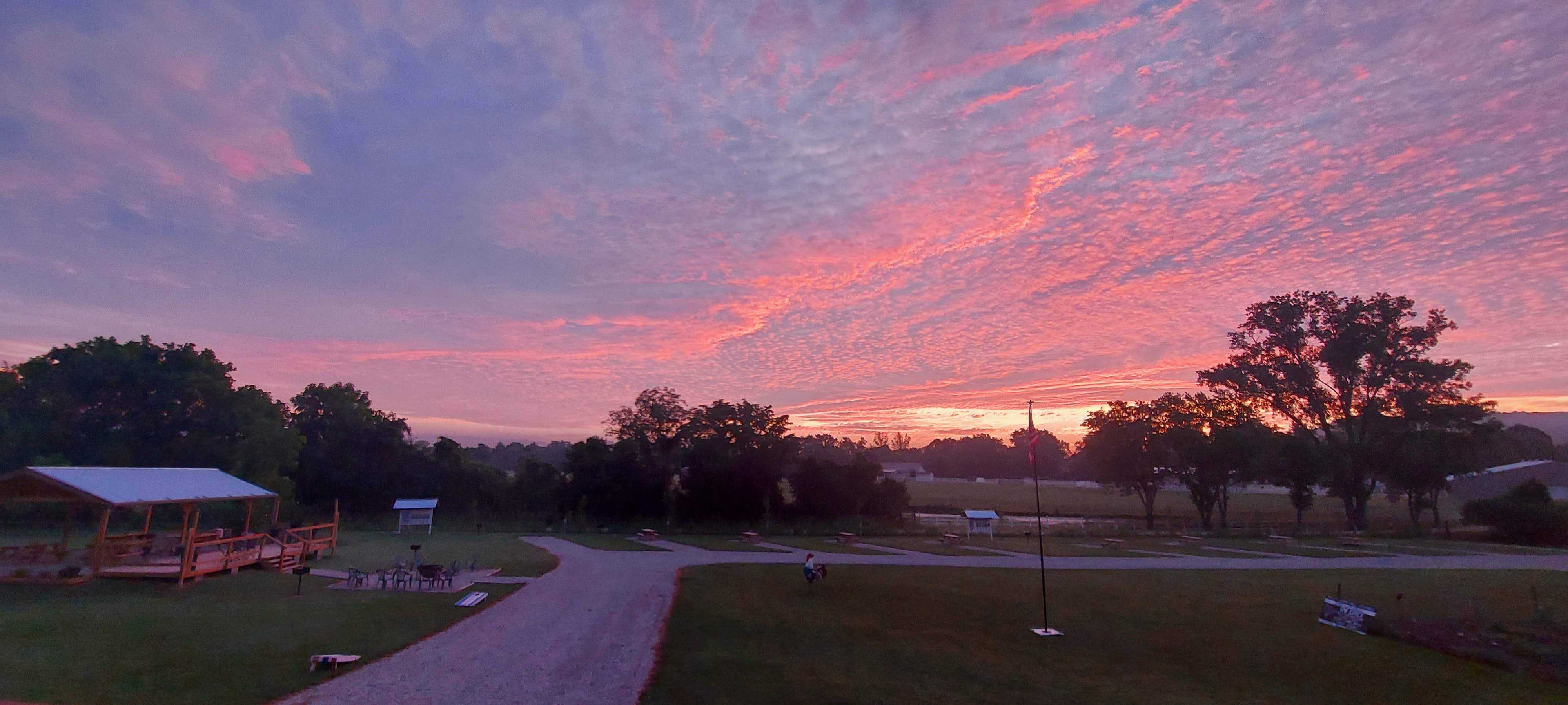 Camper submitted image from Misty Mornings Arkansas Cabins & RV Sites - 1