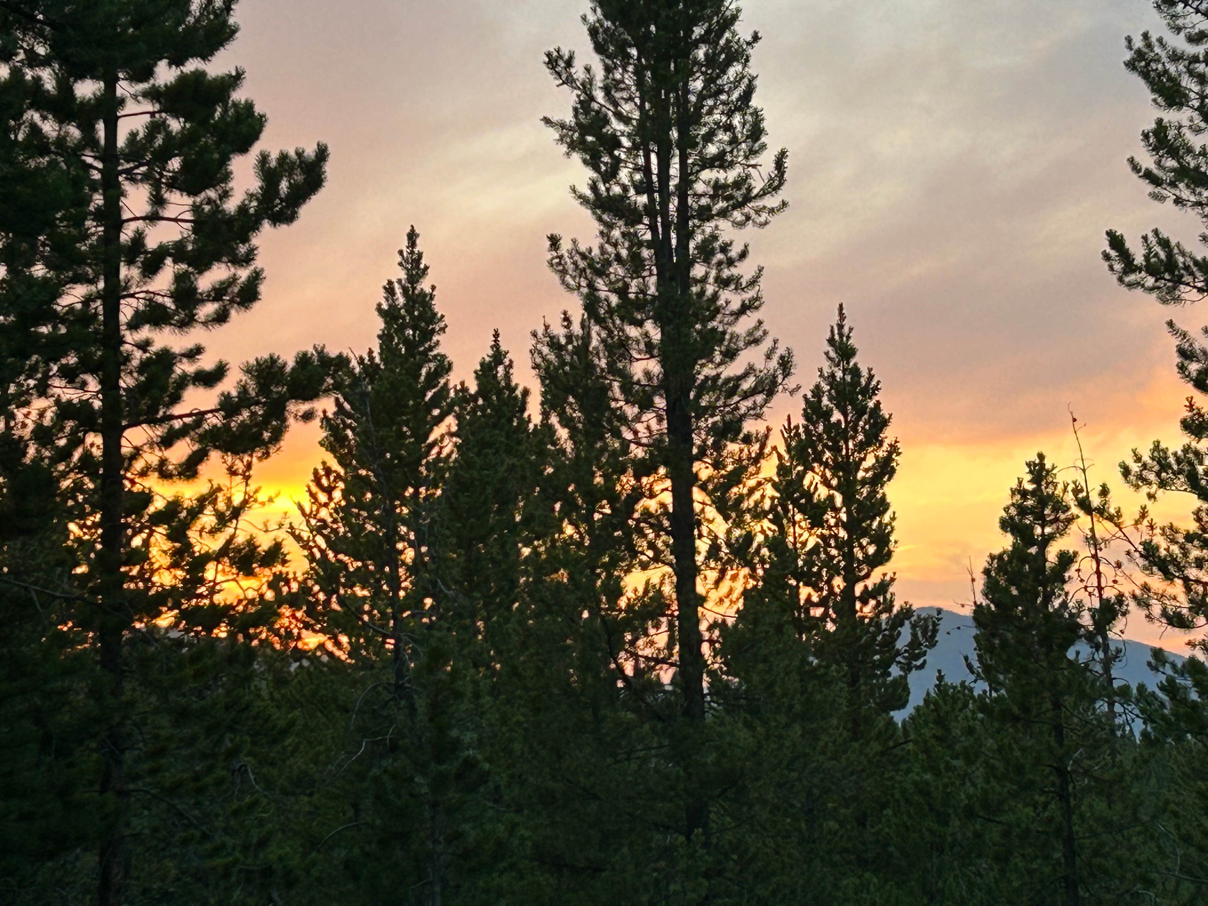 Camping near St. Louis Creek Campground: East Elk Creek Dispersed Campsite, Winter Park, Colorado