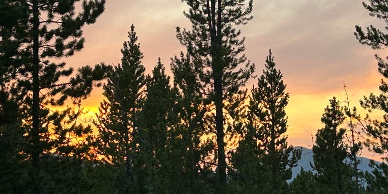 Camper submitted image from East Elk Creek Dispersed Campsite