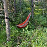 Review photo of East Elk Creek Dispersed Campsite by Steve S., August 5, 2024