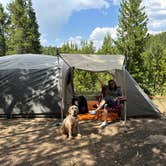 Review photo of East Elk Creek Dispersed Campsite by Steve S., August 5, 2024