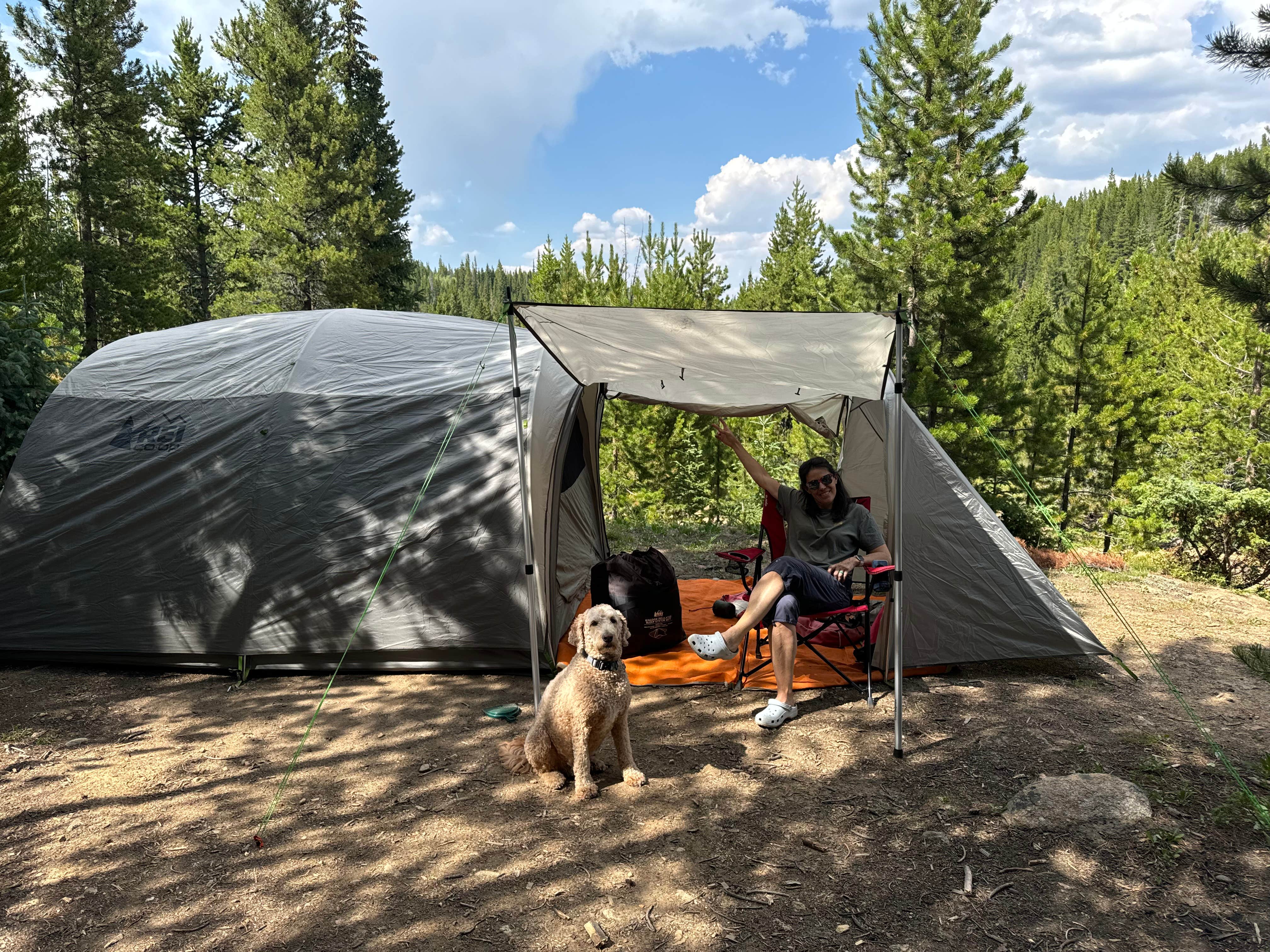 Camper submitted image from East Elk Creek Dispersed Campsite - 3