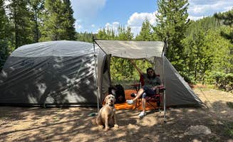 Steve S.'s photo at East Elk Creek Dispersed Campsite near Fraser, CO