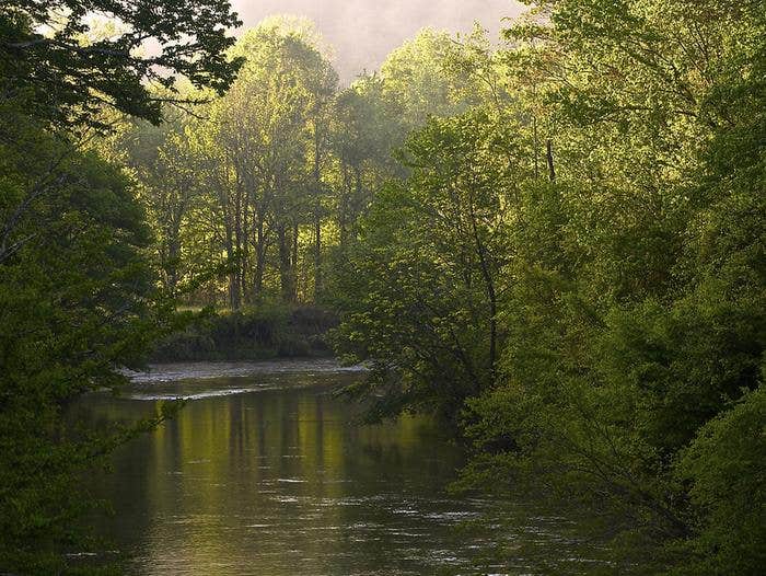 Camper submitted image from West Fork Campground (Clayton, Ga) — Chattahoochee Oconee National Forest - 1