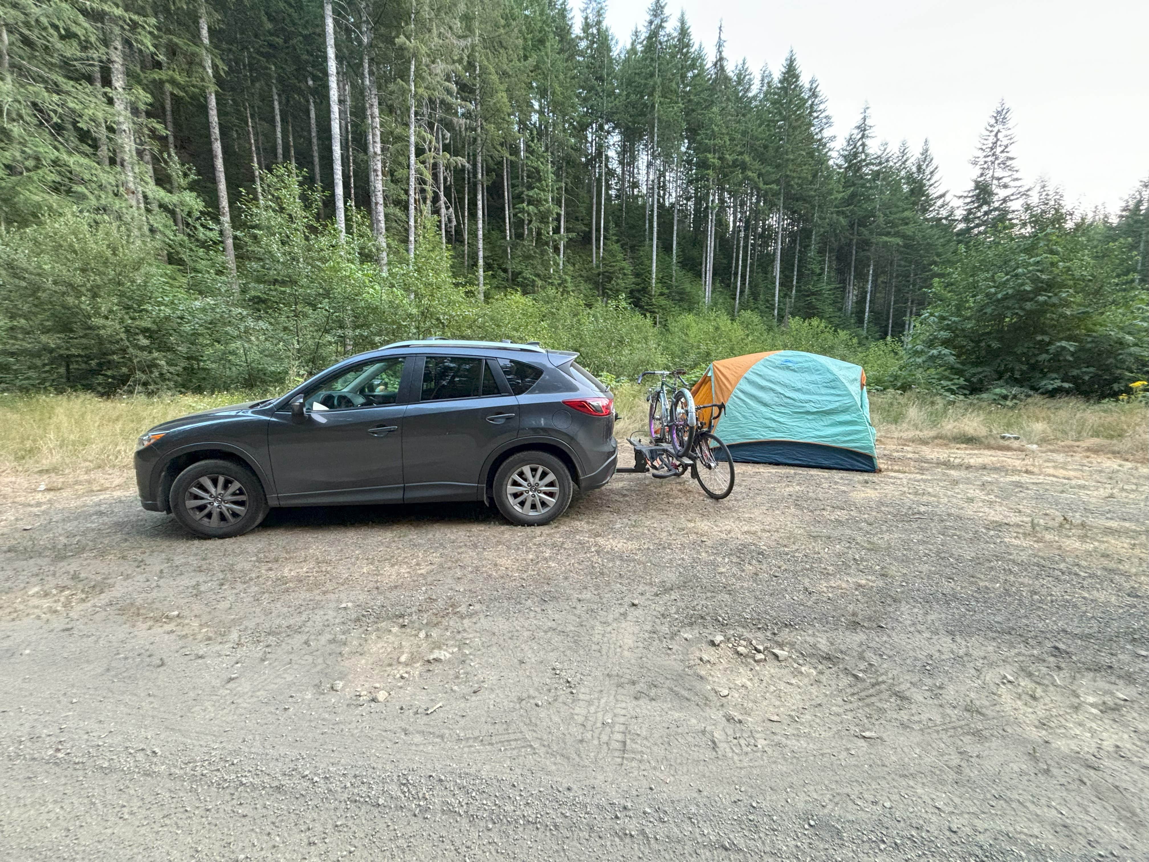 Camper-submitted photo at Olympic National Forest Dispersed Camping near Bremerton, WA