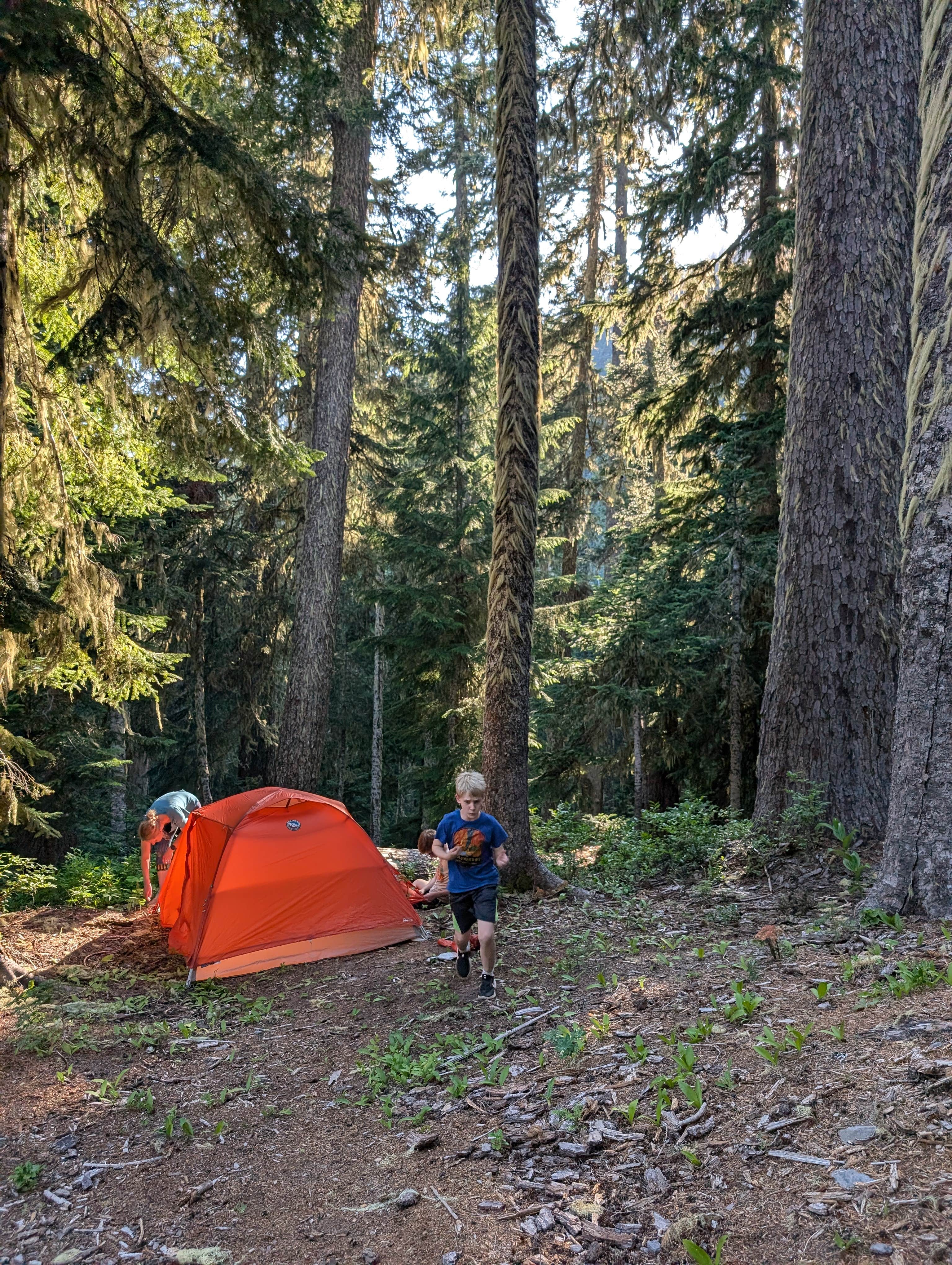 Todd J.'s photo of a dispersed camping area at Dispersed Site - End of NF 4800-532 near Mt. Hood National Forest