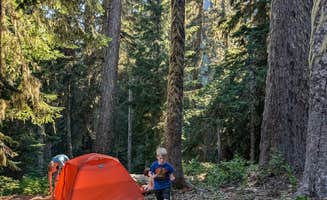 Todd J.'s photo of a dispersed camping area at Dispersed Site - End of NF 4800-532 near Tygh Valley, OR