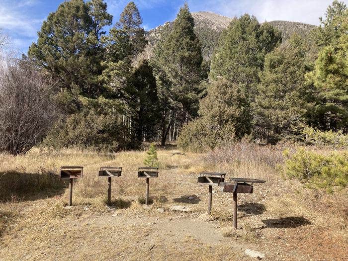Camper submitted image from Angel Of Shavano Group — Psicc - 1