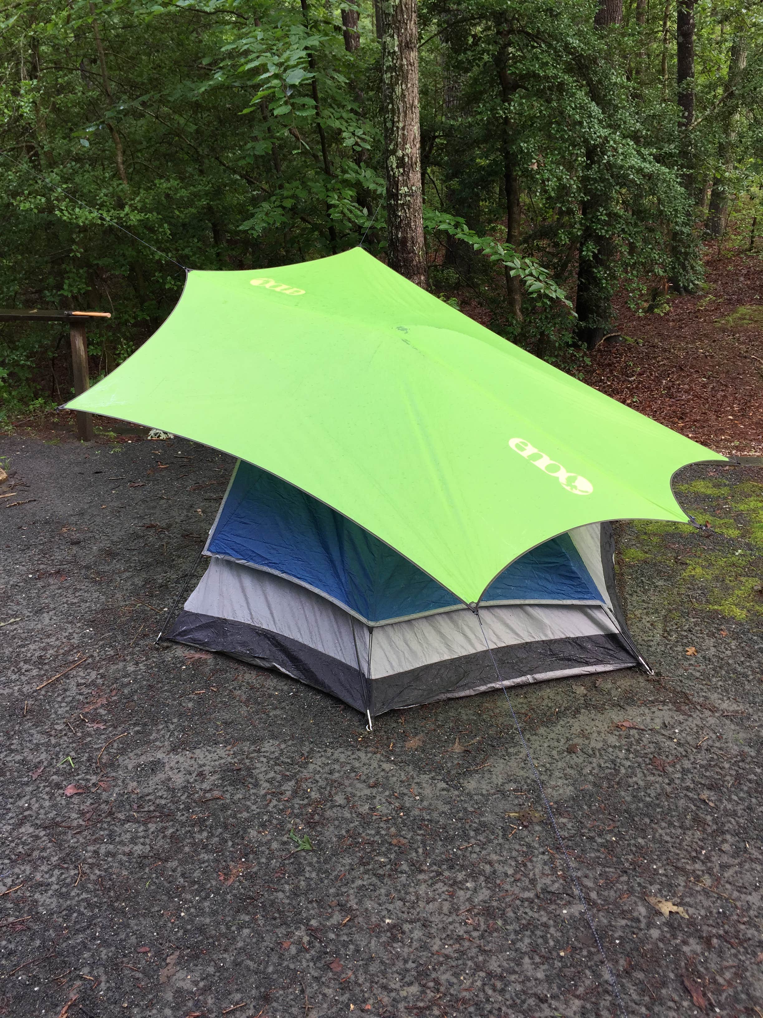 Camper-submitted photo at Cedarville State Forest near Huntingtown, MD