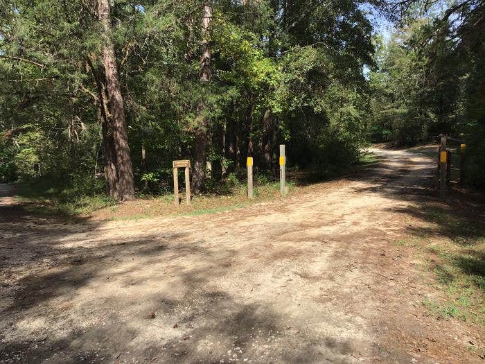Camper submitted image from Woods Ferry Campground (Sc) — Francis Marion And Sumter National Forests - 4