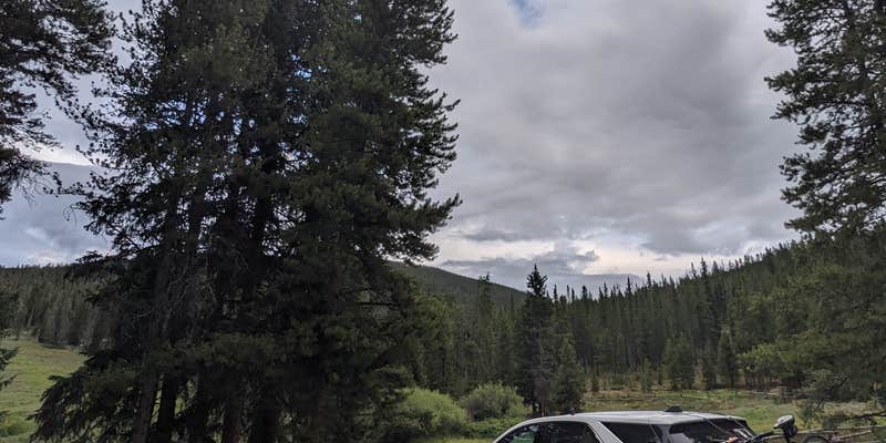 Camper submitted image from North Fork Swan Road #354 - Dispersed Camping