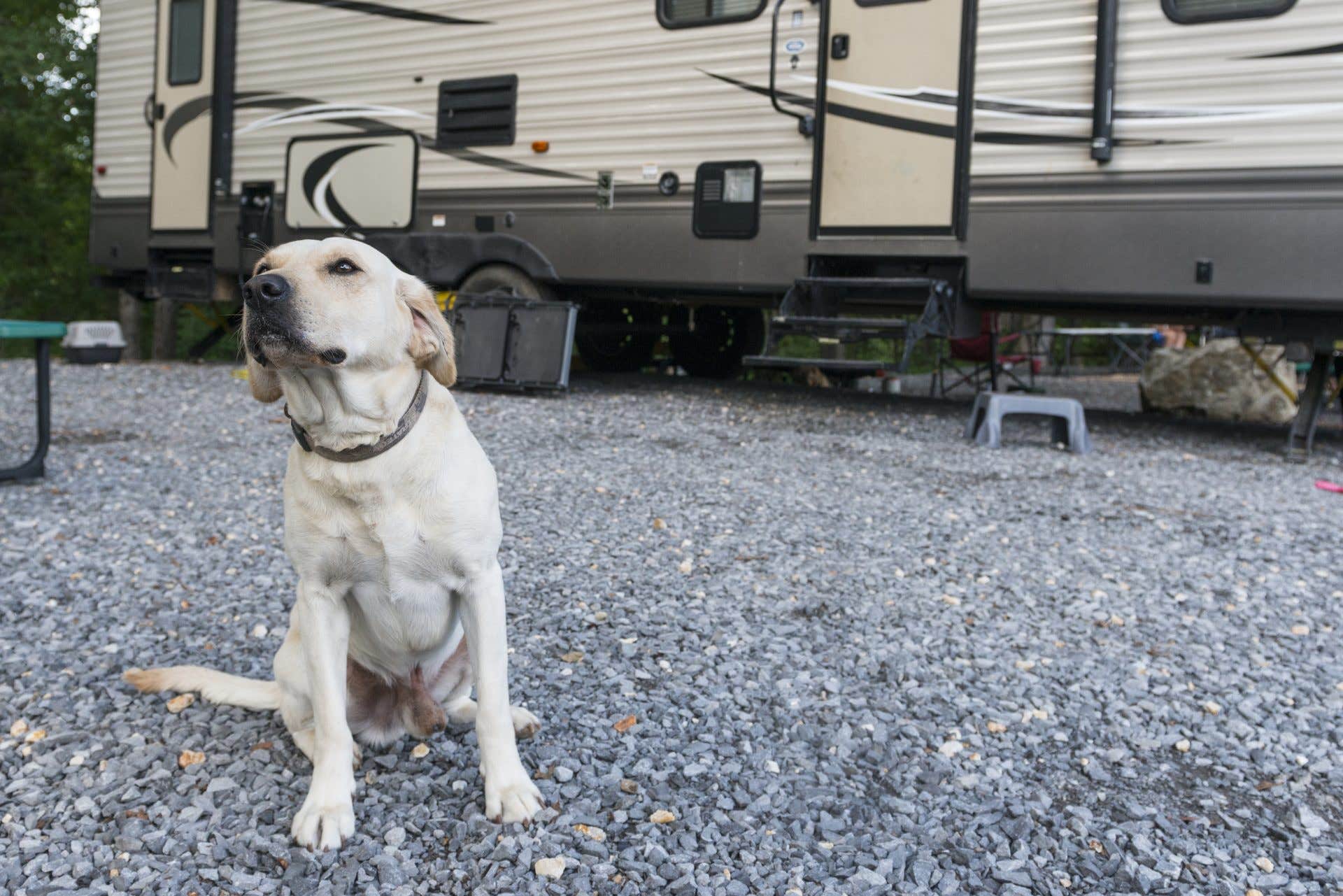 Jake C.'s photo of rv camping at Great Escapes RV Resort Chesnut Bay near Cave Spring, GA