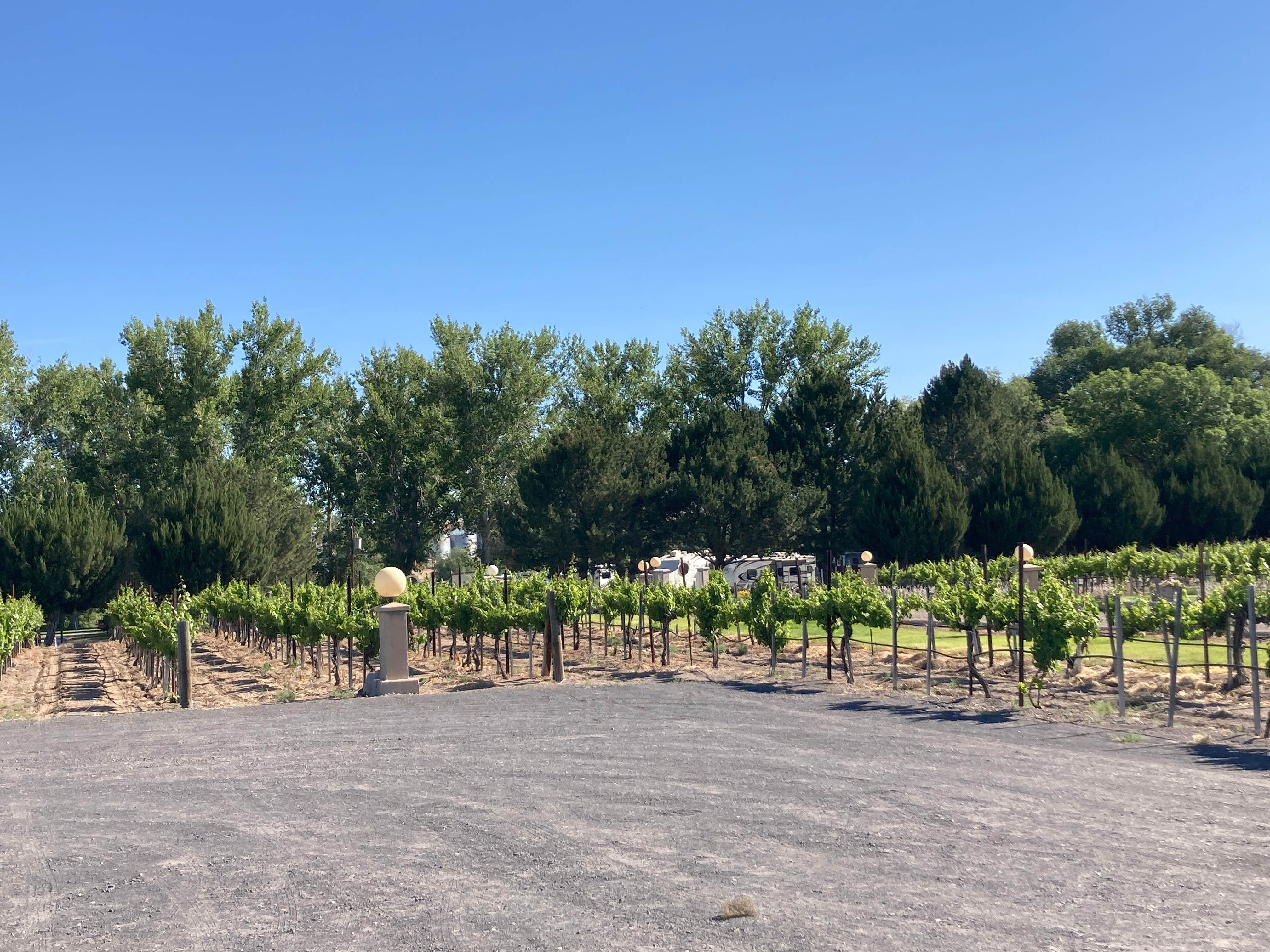 Camper-submitted photo at Carmela RV Park at Y Knot Winery near King Hill, ID