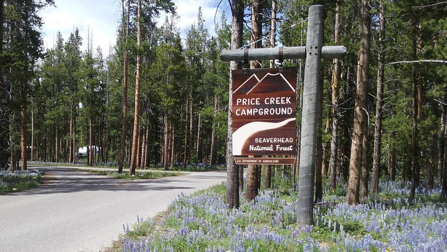 Camper submitted image from Price Creek Campground (Mt) — Beaverhead Deerlodge National Forest - 5
