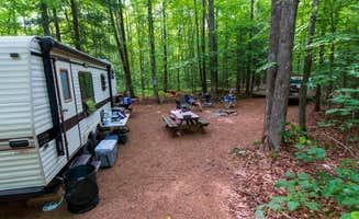 The Dyrt's photo of rv camping at River Forest Campground And Outdoor Retreats near Pulaski, WI