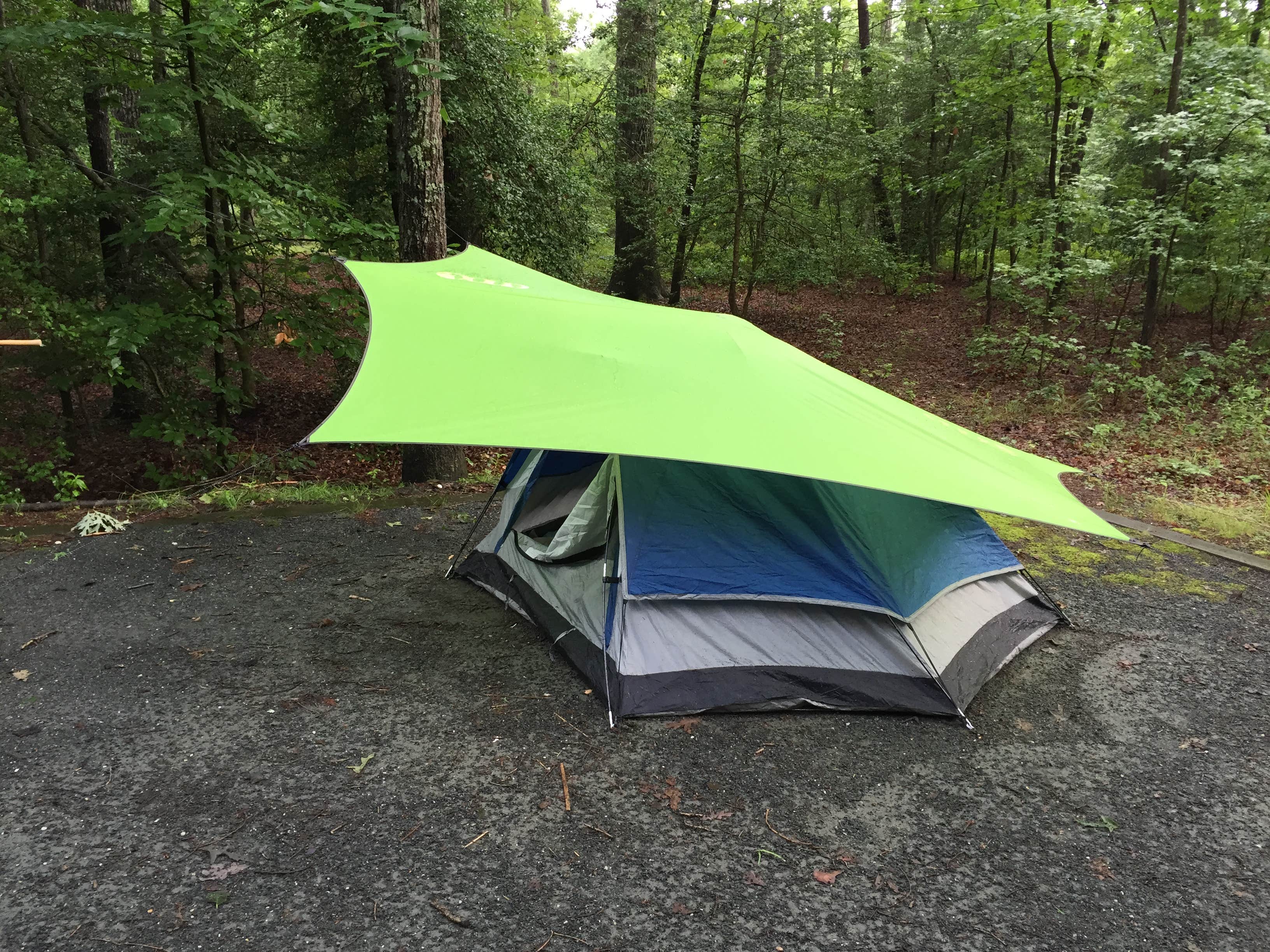 Camper-submitted photo at Cedarville State Forest near Crofton, MD