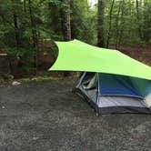 Review photo of Cedarville State Forest by Justin G., September 14, 2016
