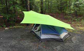 Justin G.'s photo at Cedarville State Forest near Fairmount Heights, MD