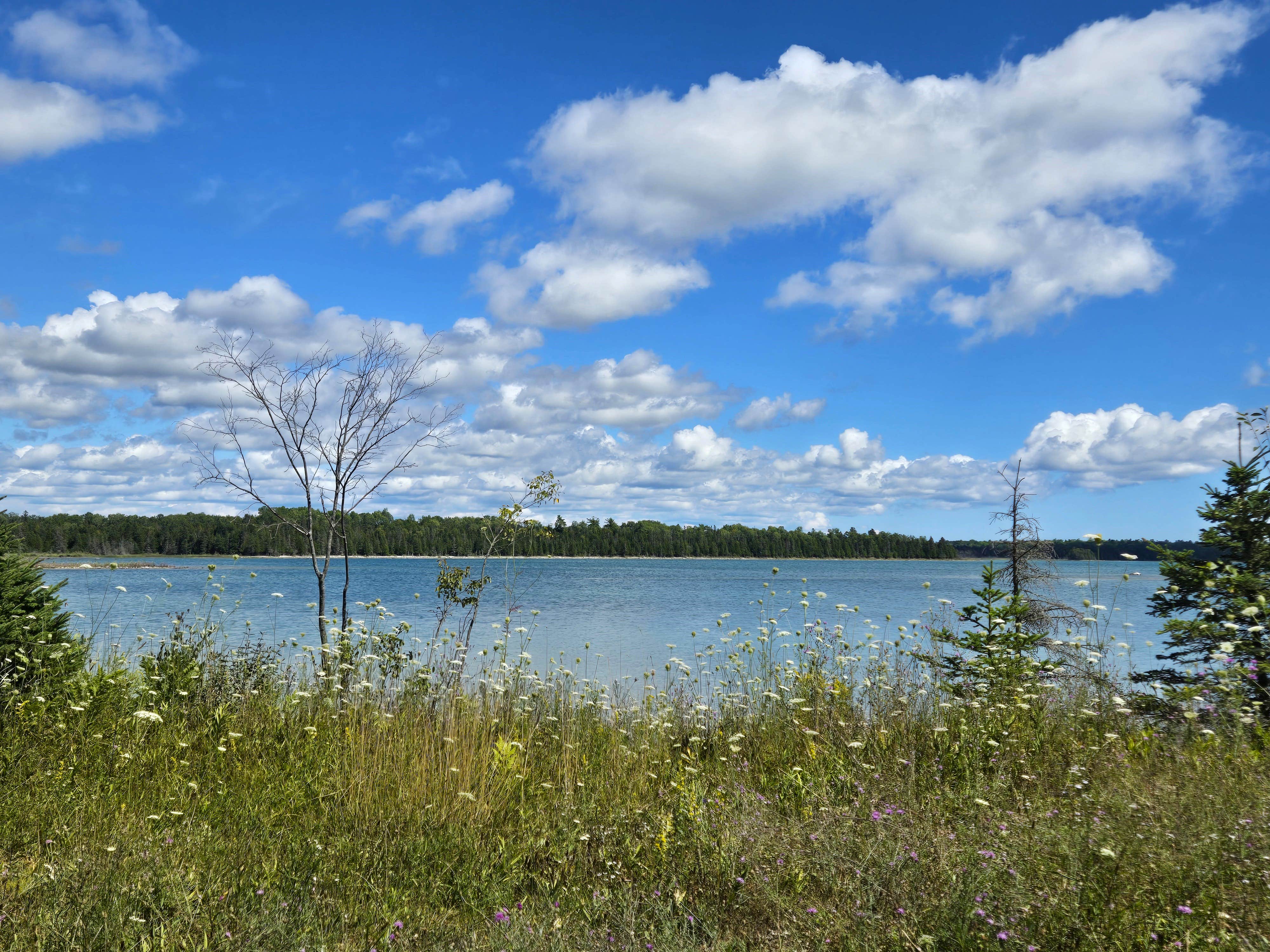 Robert M.'s photo of a dispersed camping area at Search Bay Dispersed near St. Ignace, MI