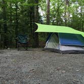 Review photo of Cedarville State Forest by Justin G., September 14, 2016