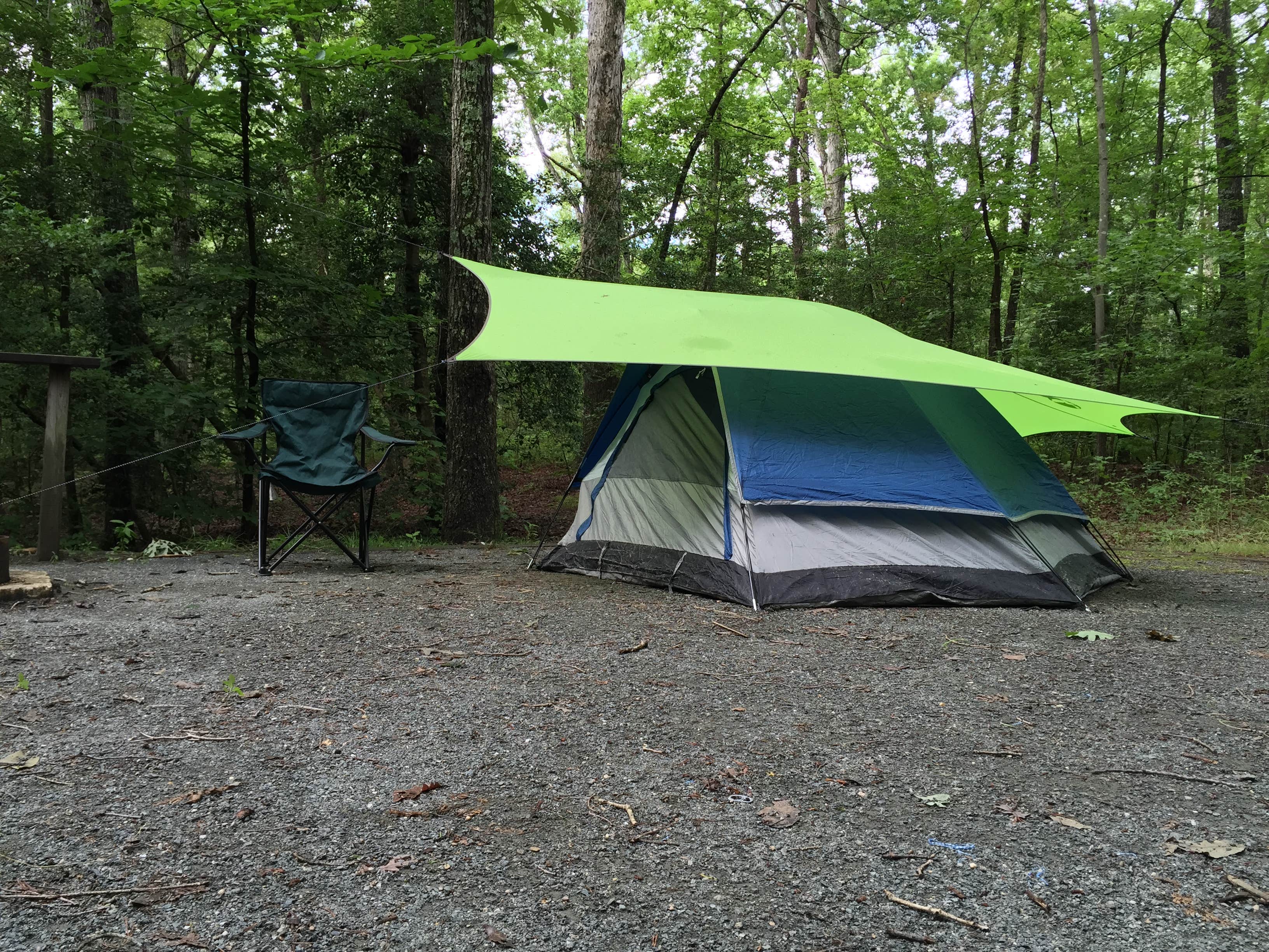 Camper submitted image from Cedarville State Forest - 4
