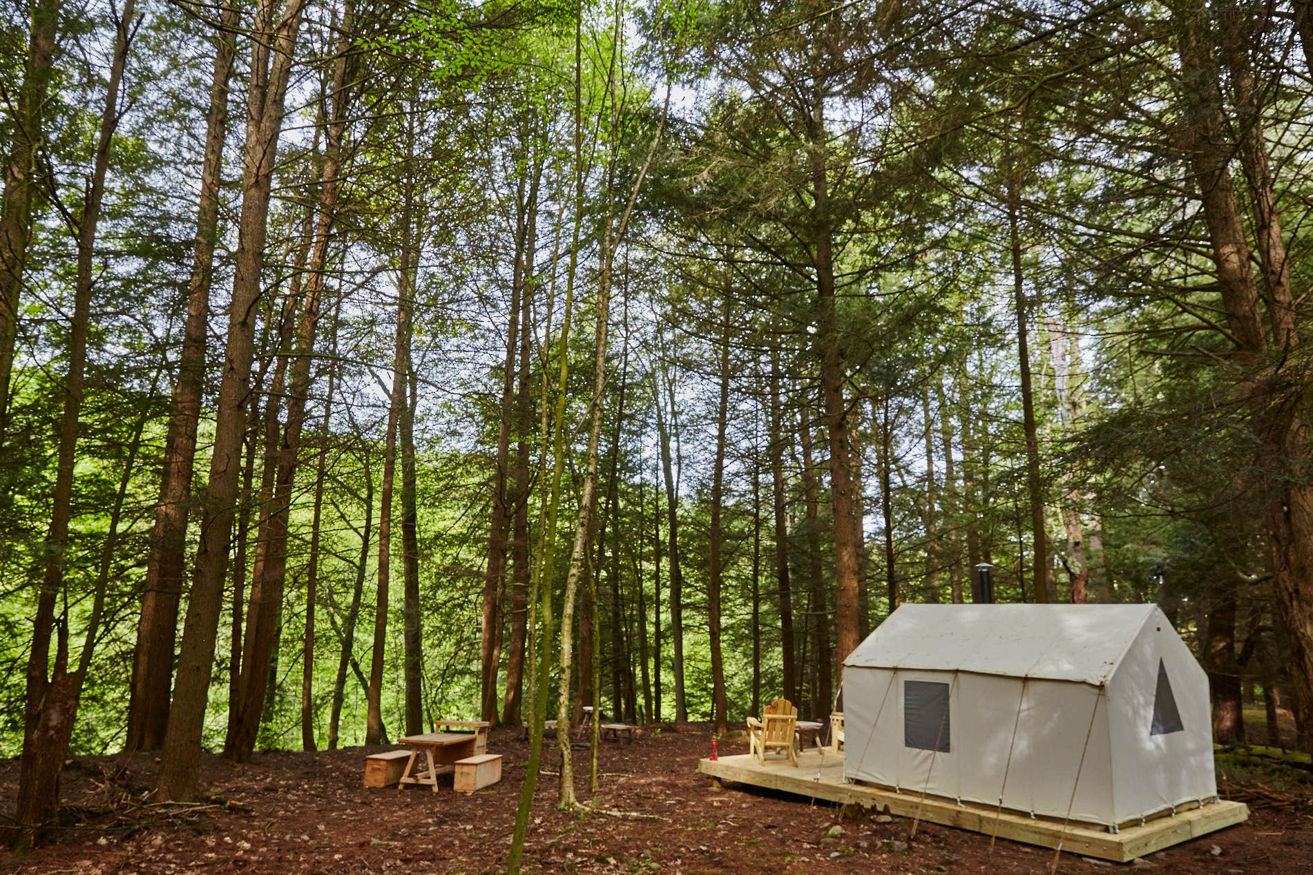 The Dyrt's photo at Kortright Creek Kamp near Colliersville, NY