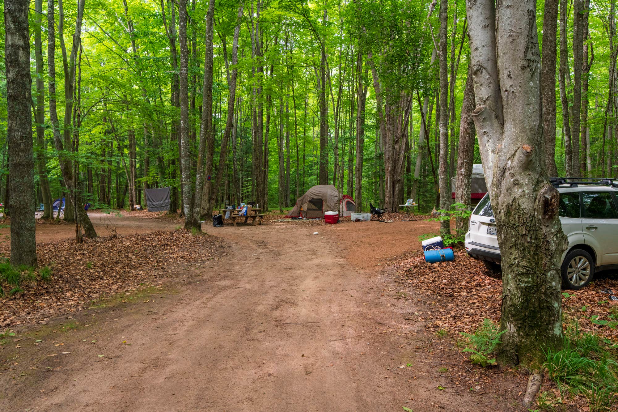 The Dyrt's photo at River Forest Campground And Outdoor Retreats near Pearson, WI