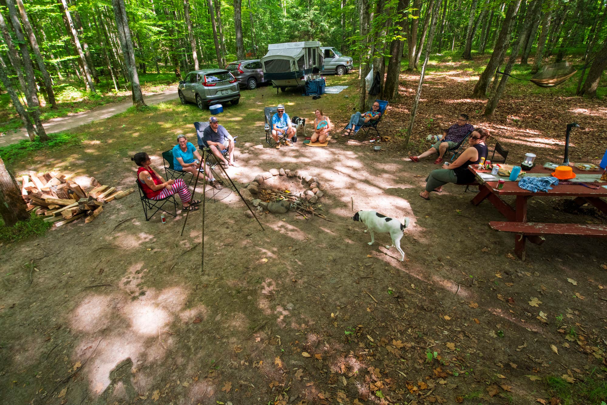 The Dyrt's photo of camping with pets at River Forest Campground And Outdoor Retreats near Summit Lake, WI