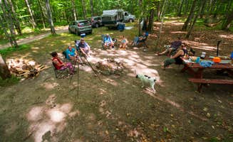 The Dyrt's photo of camping with pets at River Forest Campground And Outdoor Retreats near Mountain, WI