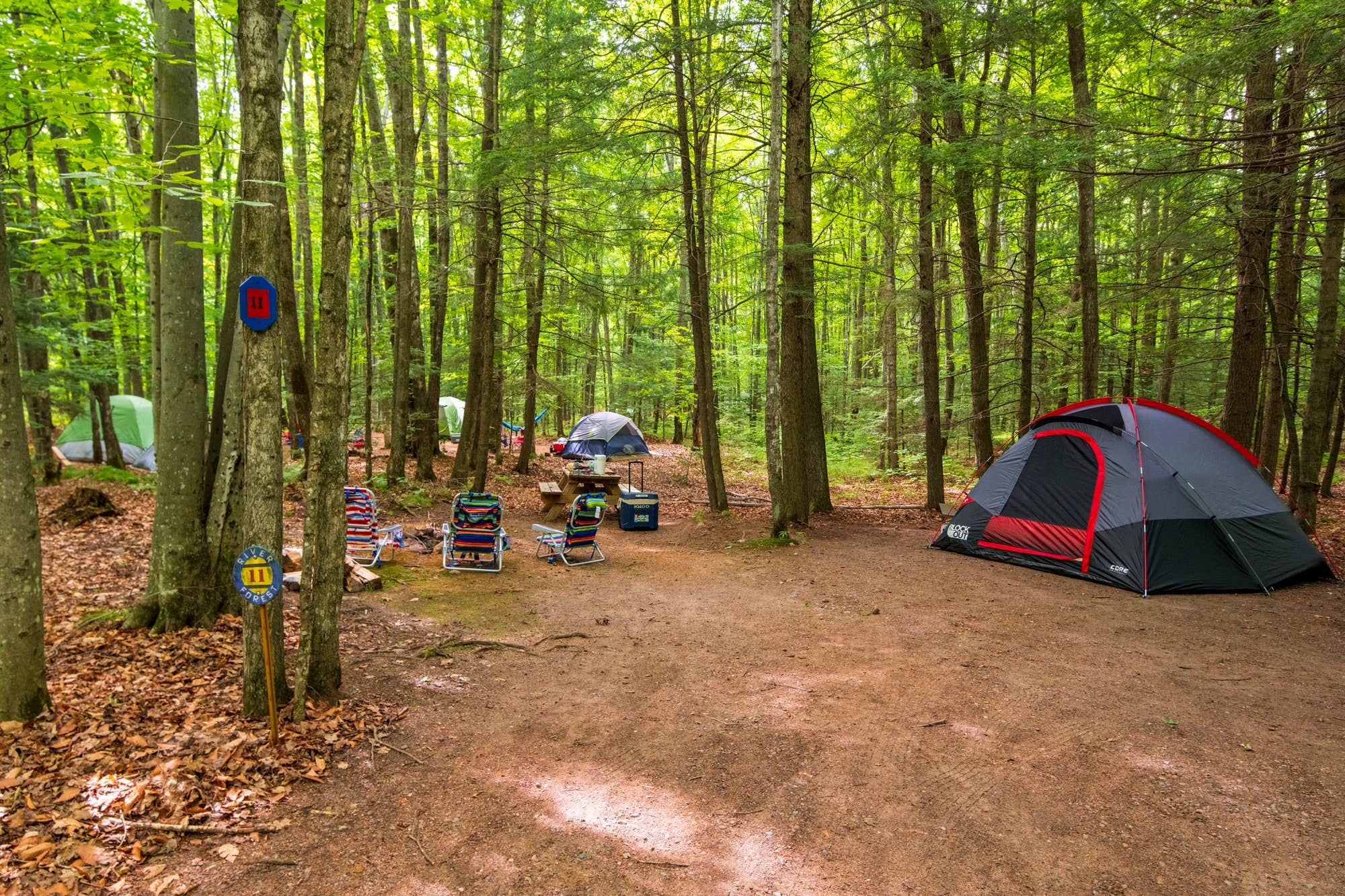 The Dyrt's photo at River Forest Campground And Outdoor Retreats near White Lake, WI