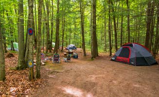 The Dyrt's photo at River Forest Campground And Outdoor Retreats near Aniwa, WI