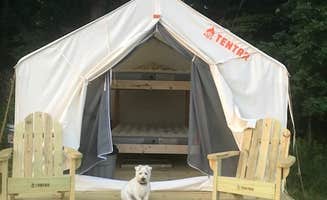 The Dyrt's photo at Parry’s Orchard Camp near Benton, PA