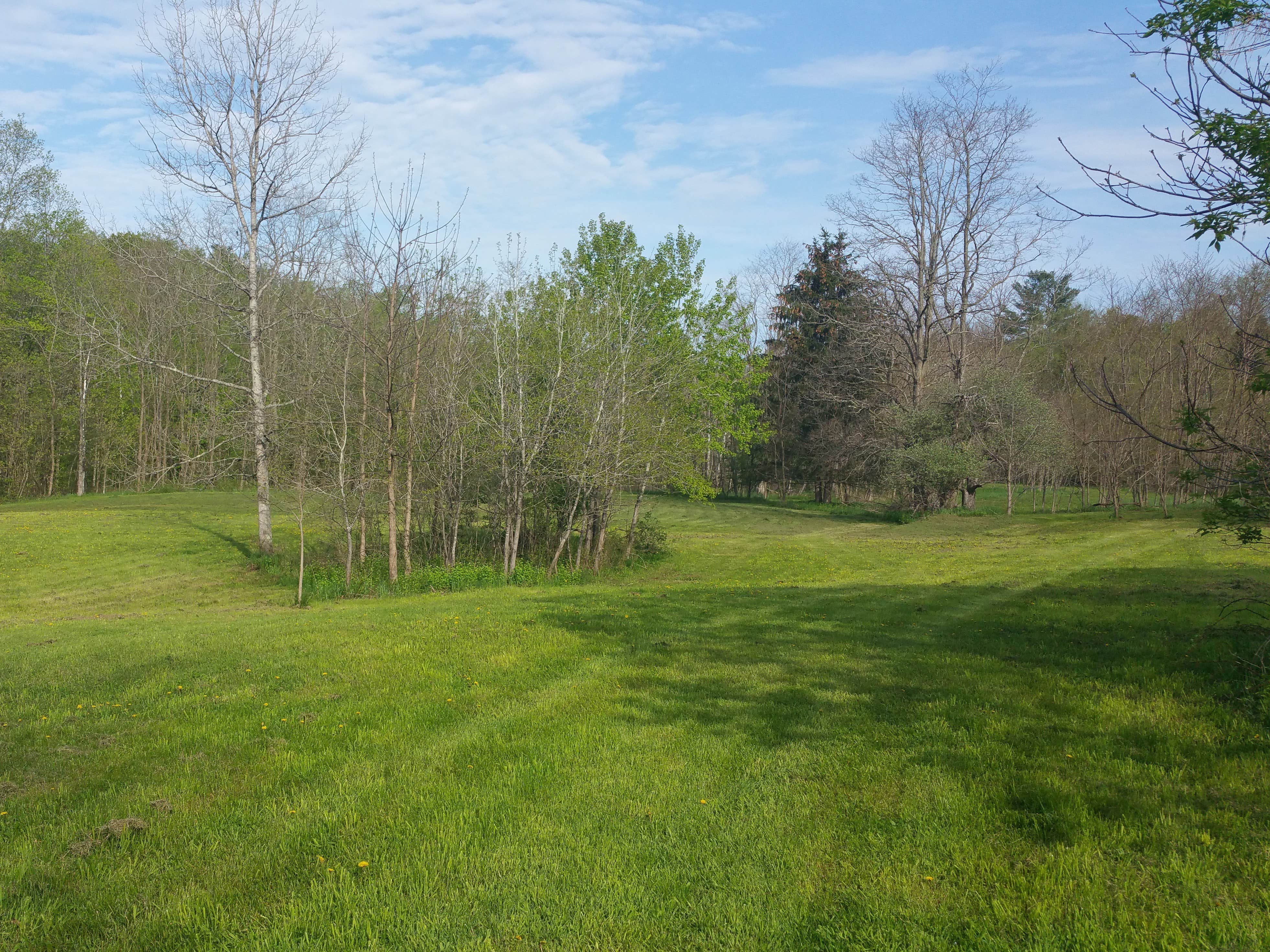 Nature