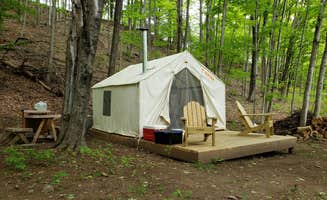 The Dyrt's photo at Camp Creekside near Rensselaerville, NY